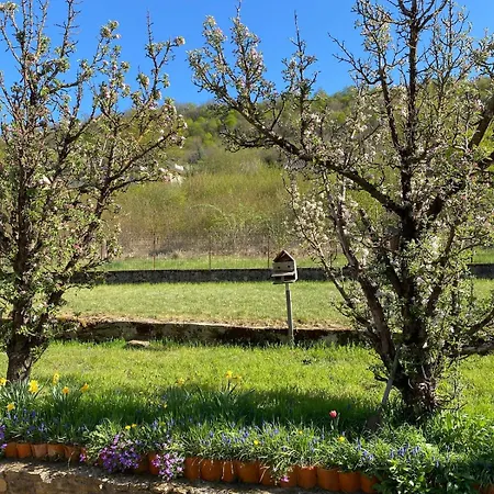 Le Nid - Maison Proche De La Forêt