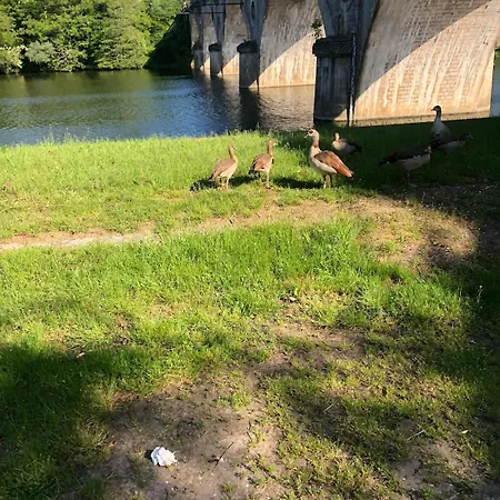 Le Nid - Maison Proche De La Foret *