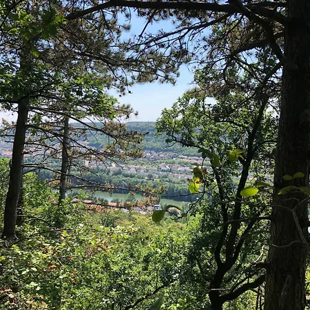 Le Nid - Maison Proche De La Foret Frouard