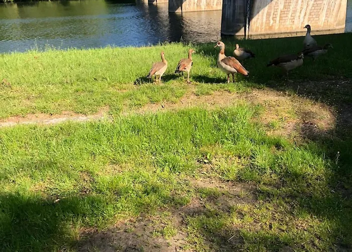 Le Nid - Maison Proche De La Foret *