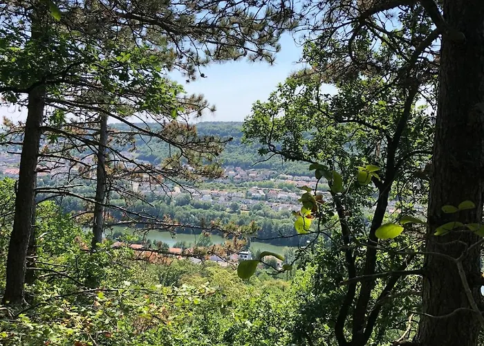 Le Nid - Maison Proche De La Foret Frouard